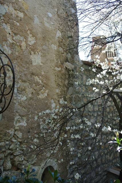 DSC-7087.jpg