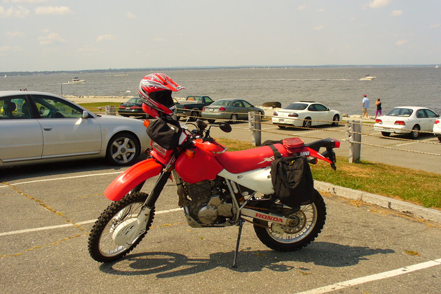 P1030445.jpg