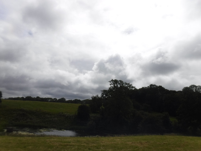 DSCF7607.jpg