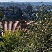 IMG-2408