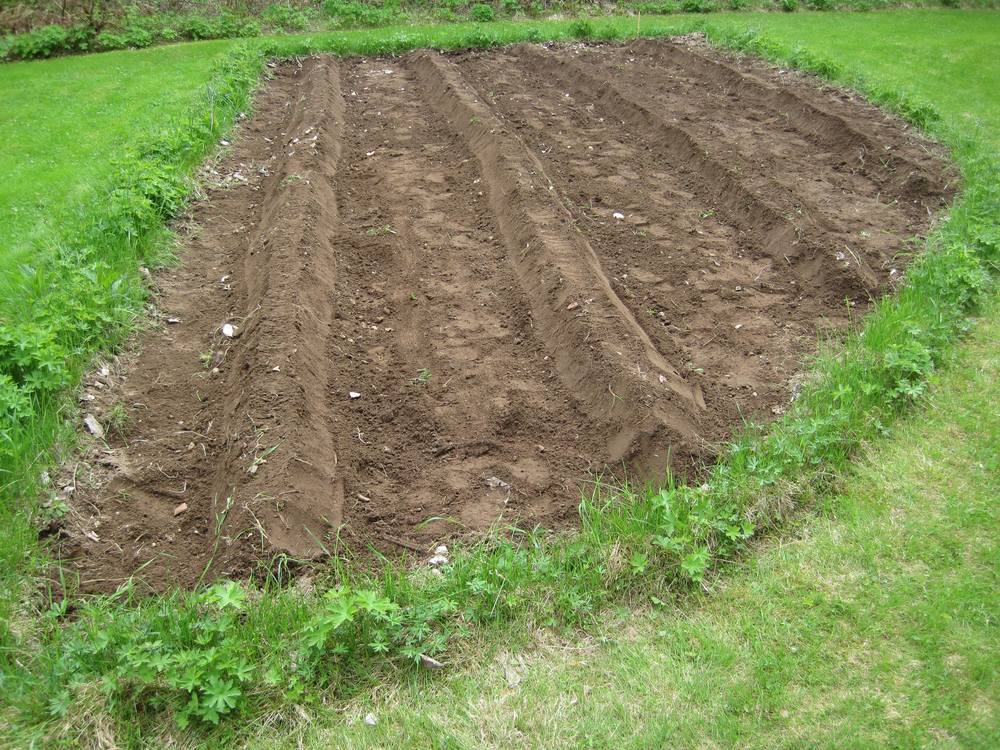 plot2.jpg