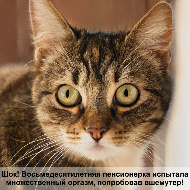 Загружено: Наталия Гурова. Россия Тула