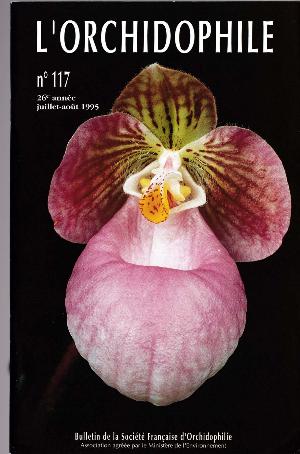 orchido117.jpg?042148