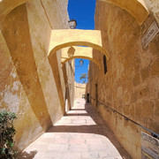OLYMPUS-DIGITAL-CAMERA