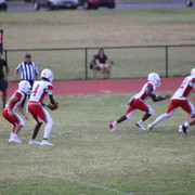 IMG-2272