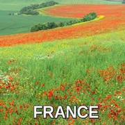 FRANCEJIM