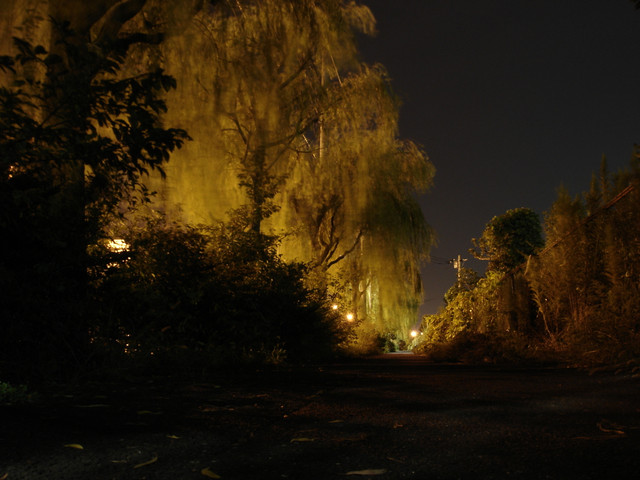 2012-09-26-076