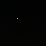 IMG-6695