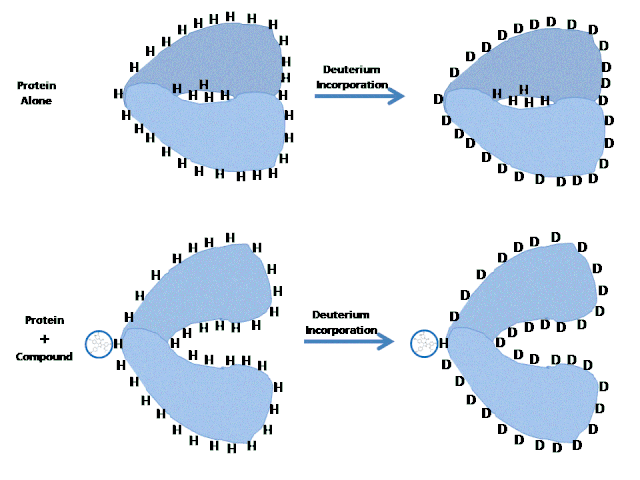 Compound-Binding-Image.gif