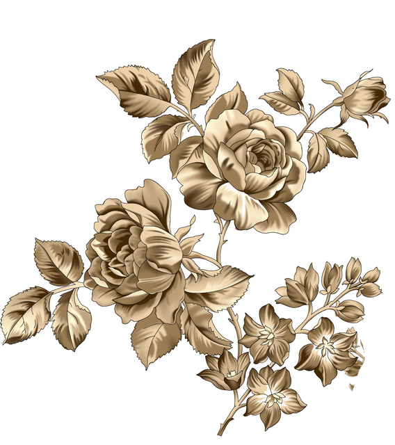 e2c738a276c462d5f731576d066f4e2e.png