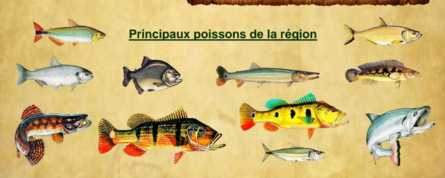 Poissons Mataven