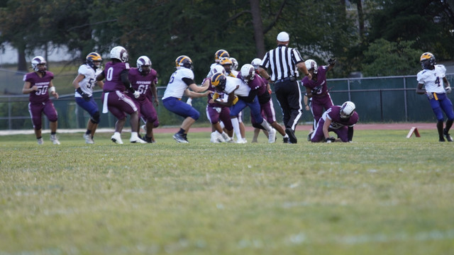 DSC1146.jpg