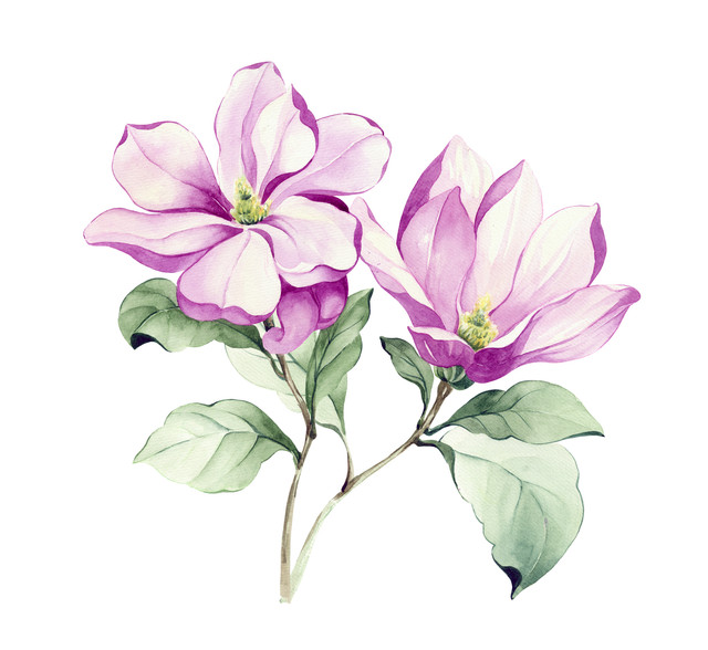 shutterstock 1142442206.jpg