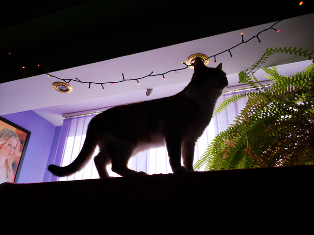 IMG-20220125-150340
