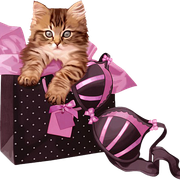 Woman-Accessories-2-20