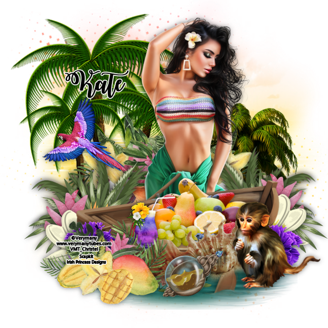 Aloha-Beaches.png