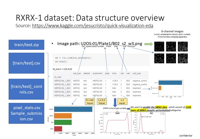 Cellular-SIRNA-data-structure-overview