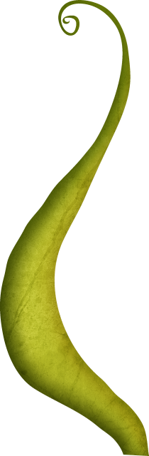 Stem1.png