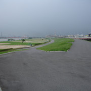 2010-07-01-071