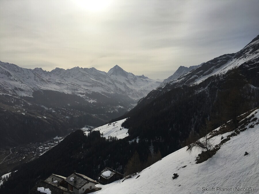IMG-8956.jpg