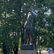IMG-2972