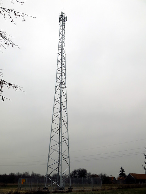 IMG-4696