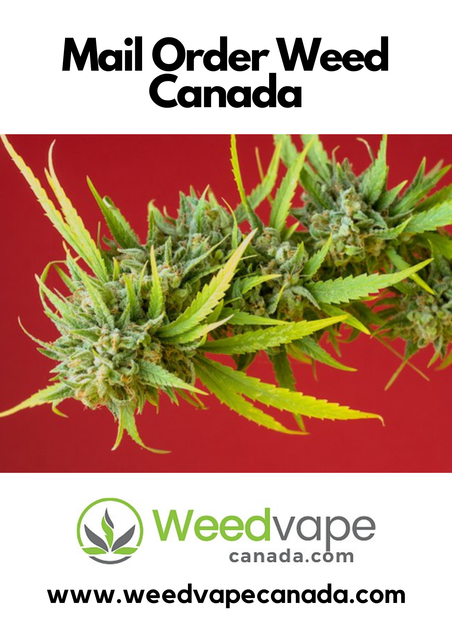 Main-Order-Weed-Canada-25.png