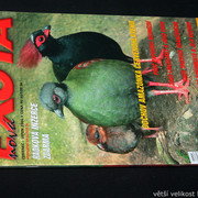 IMG-7807