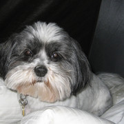 IMG-0859