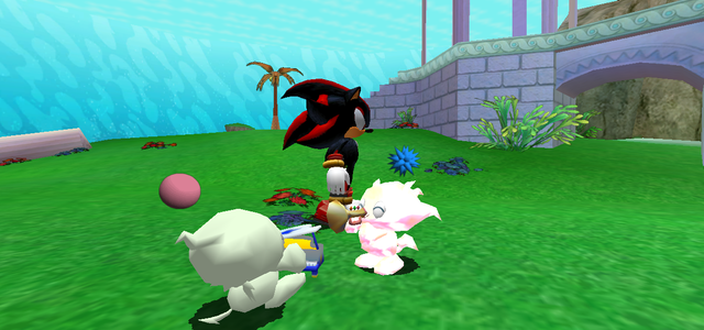 Duet.png