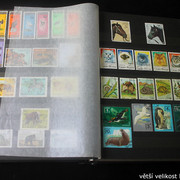 IMG-2233