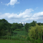 2021-05-31-264