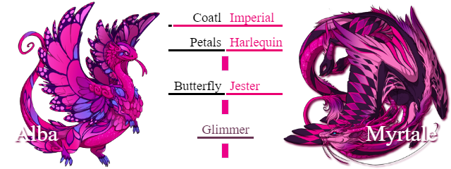 Fushia.png