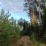 IMG-4385