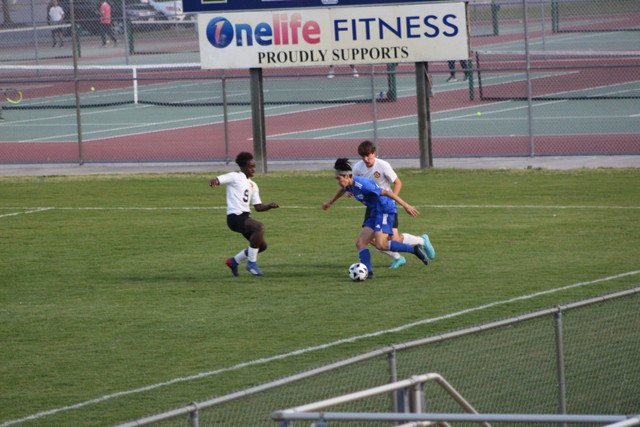 IMG-0064