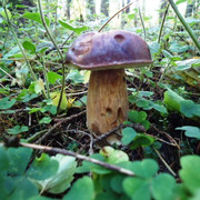DSC00201