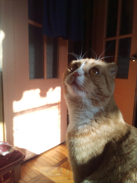 IMG-20220401-090400.jpg