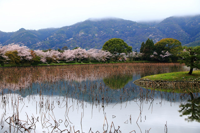 20150410232204aa2
