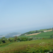 DSCF7871