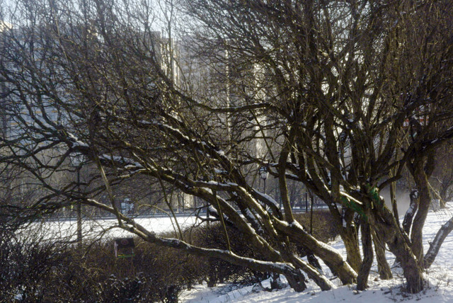 DSC8787.jpg
