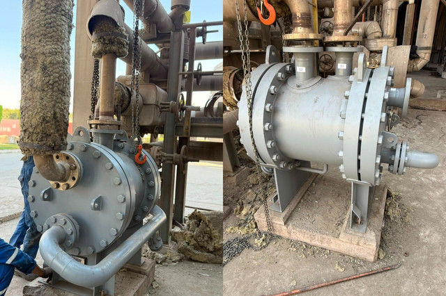 Plate and shell heat exchanger