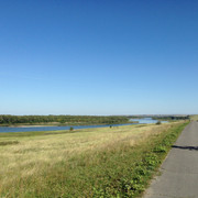 IMG-4173