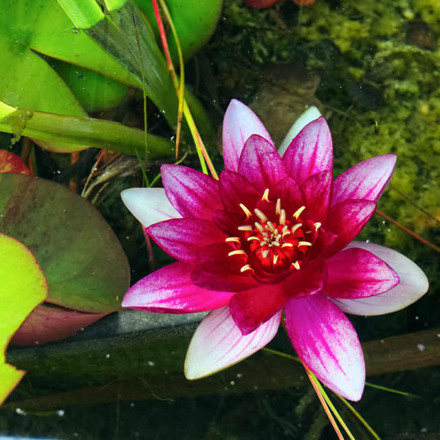 DSCF4162.jpg