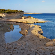 OLYMPUS-DIGITAL-CAMERA