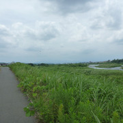 P1330160