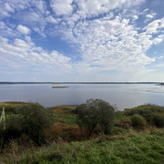 IMG-0523