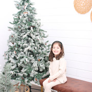 IMG-6534