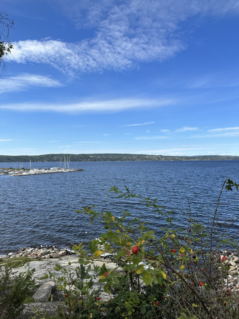 IMG-5746