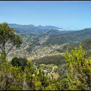 comp-IMG-7602
