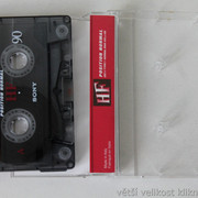 IMG-3126
